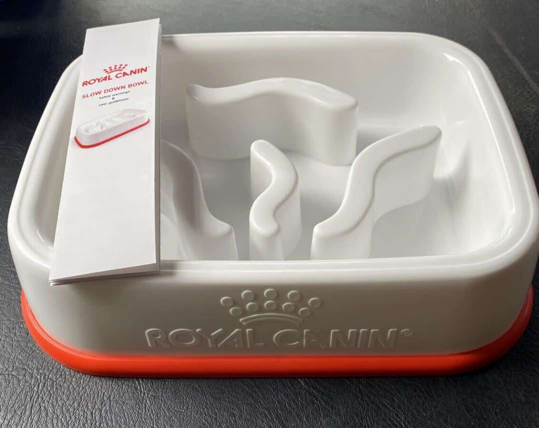 Royal Canin Labrador Adult 12 kg FREE Slow Down Feeder Bowl - Image 2