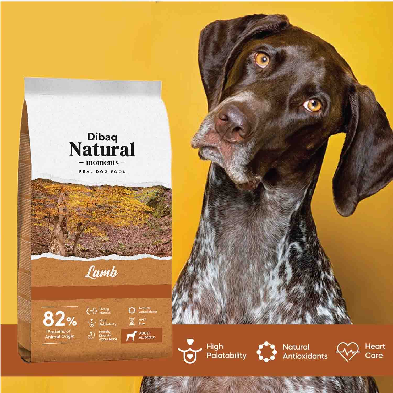 Dibaq Natural Moments Lamb Dry Food for All Breed Adult Dogs