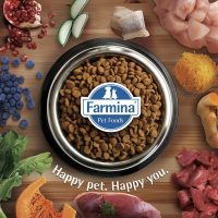 Alternative view of Farmina N&D Pumpkin Chicken & Pomegranate Grain Free Dry Puppy Food - Medium & Maxi Breed