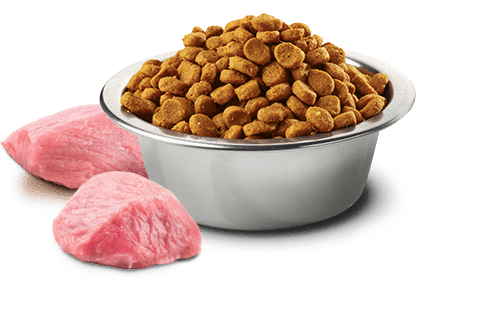 Farmina N&D Pumpkin Grain Free Lamb & Blueberry Mini Breed Puppy Food - Image 2