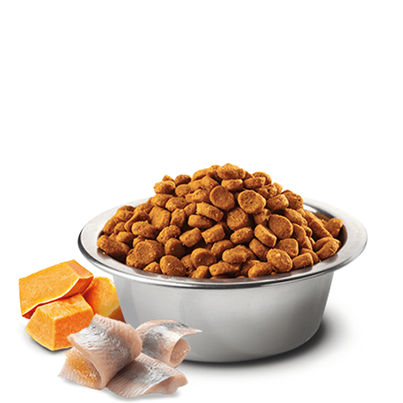 Farmina N&D Grain Free Ocean Codfish & Orange Adult Medium & Maxi Breed - Image 3