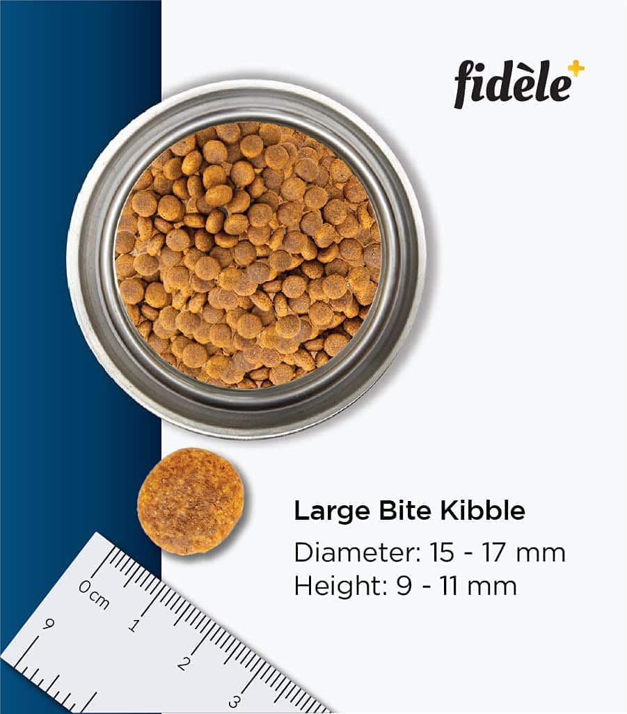 Fidele Adult Large Breed Dry Dog Food Chicken with Natural Ingredients | No Soy | No Wheat | - Image 7