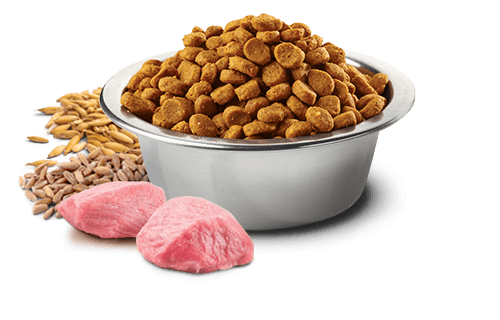 Farmina N&D Ancestral Grain Chicken & Pomegranate Mini Breed Puppy Food - Image 2