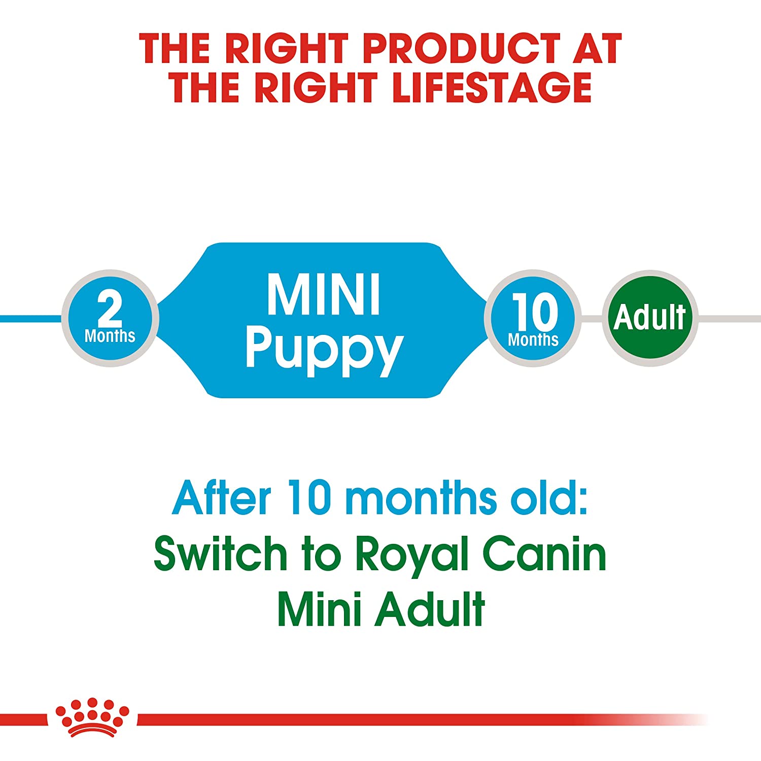Royal Canin Mini Puppy 8 kg - Image 2