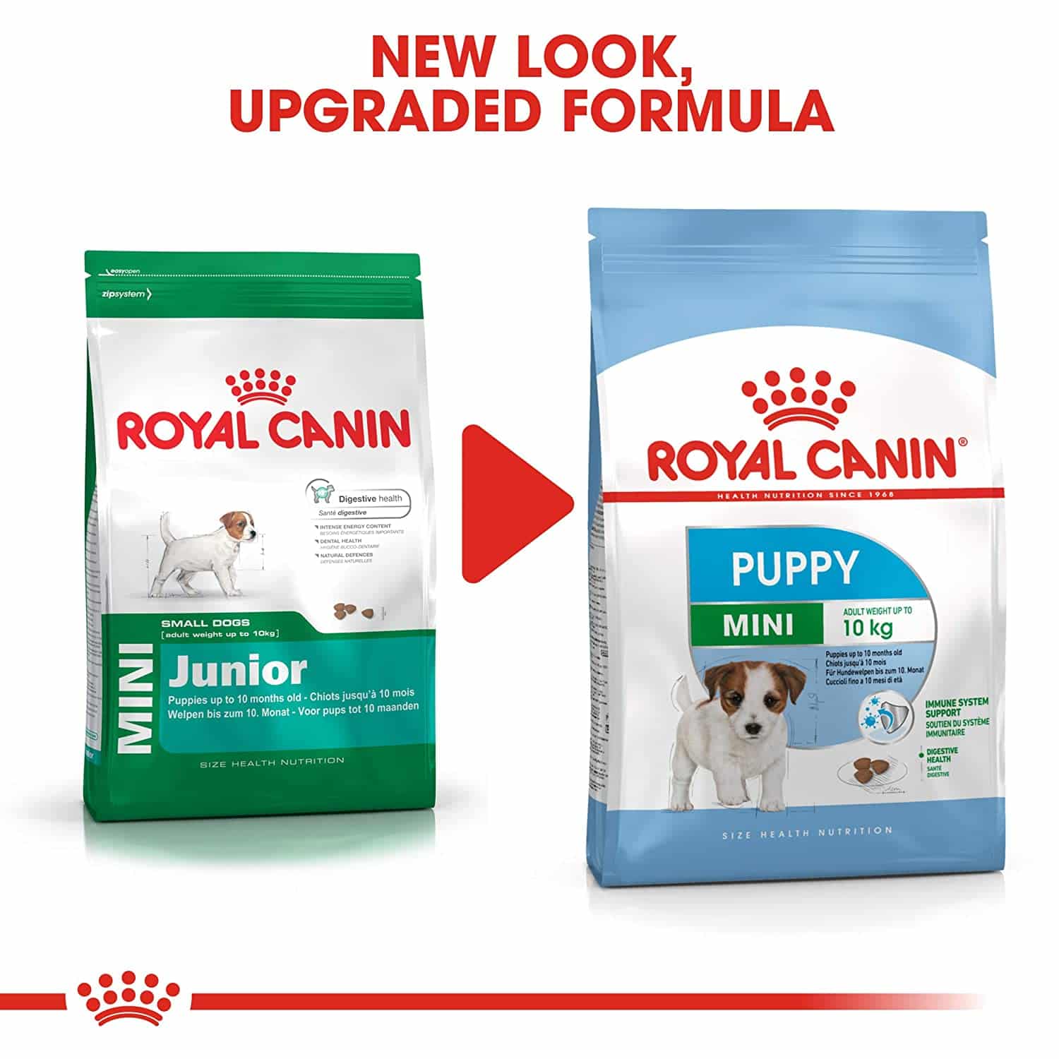 Royal Canin Mini Puppy 8 kg - Image 5