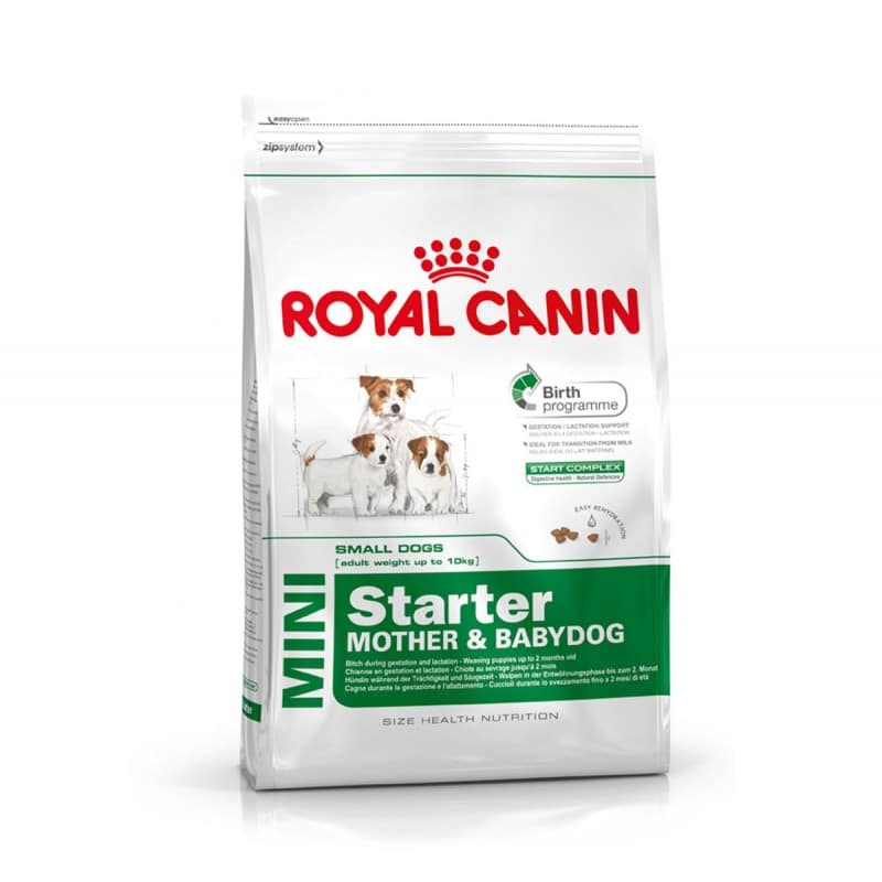 royal canin mini starter
