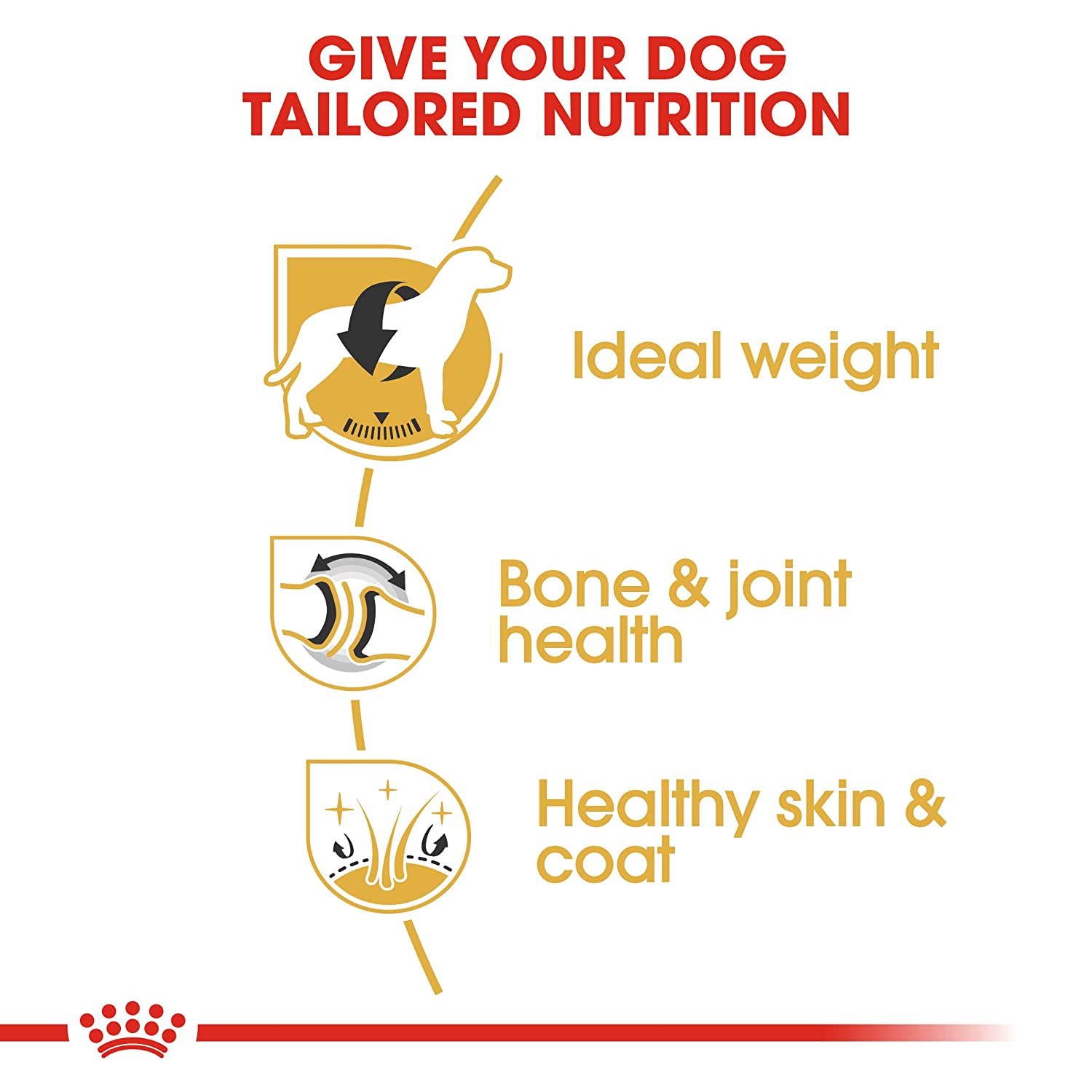 Royal Canin Labrador Adult 12 kg FREE Slow Down Feeder Bowl - Image 4