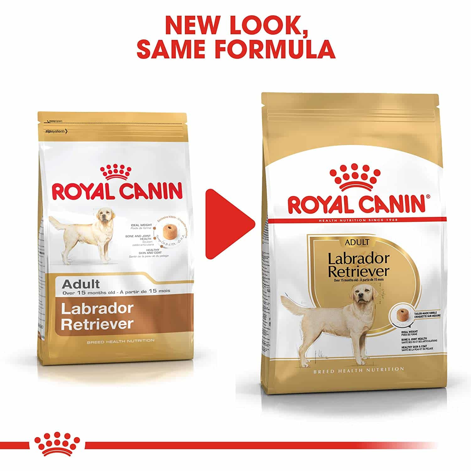 Royal Canin Labrador Adult 12 kg FREE Slow Down Feeder Bowl - Image 5
