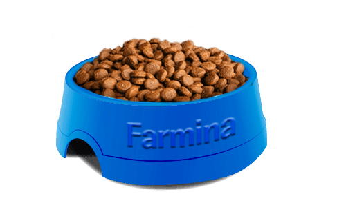 Farmina N&D Pumpkin Grain Free Chicken & Pomegranate Adult Medium & Maxi - Image 2