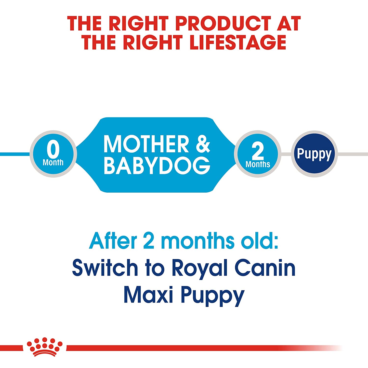 Royal Canin Maxi Starter - Image 2