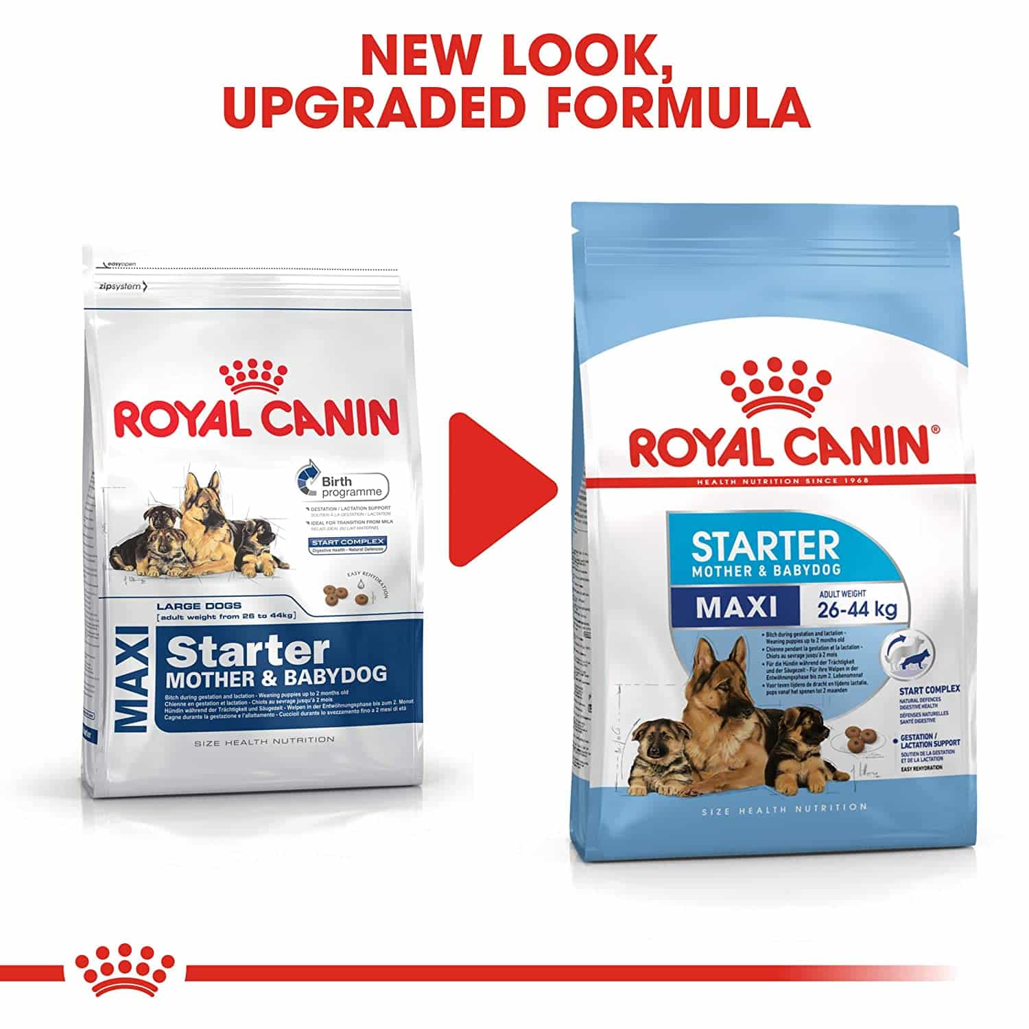 Royal Canin Maxi Starter - Image 4