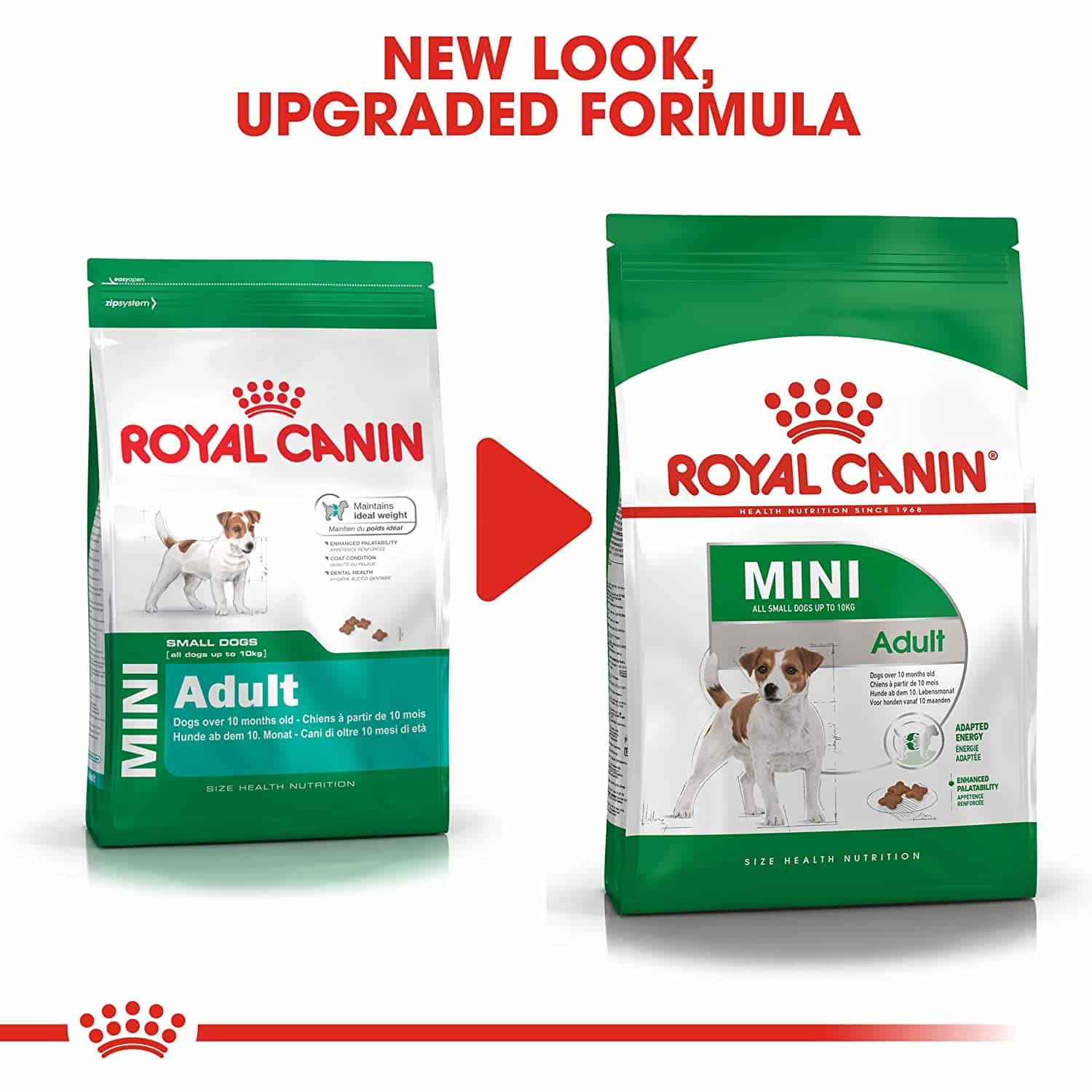 Royal Canin Mini Adult, 8kg - Image 4