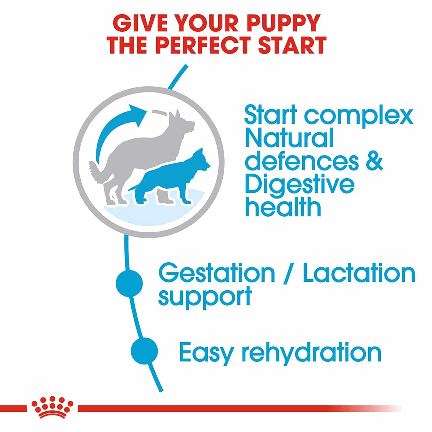 Royal Canin Maxi Starter - Image 6