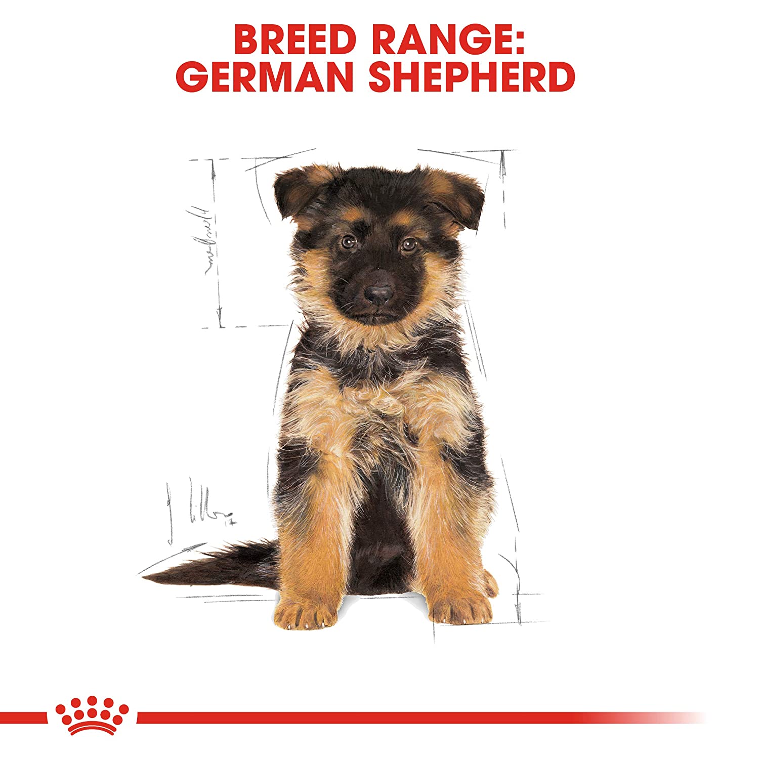 Royal canin German Shepherd Puppy Food - Image 5