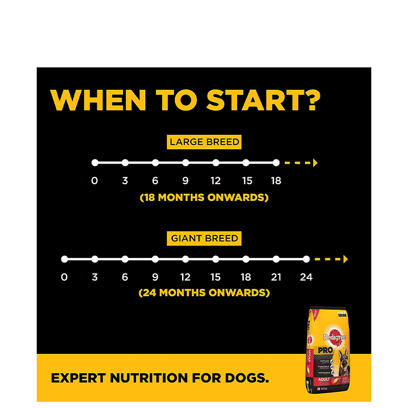 Pedigree Professional