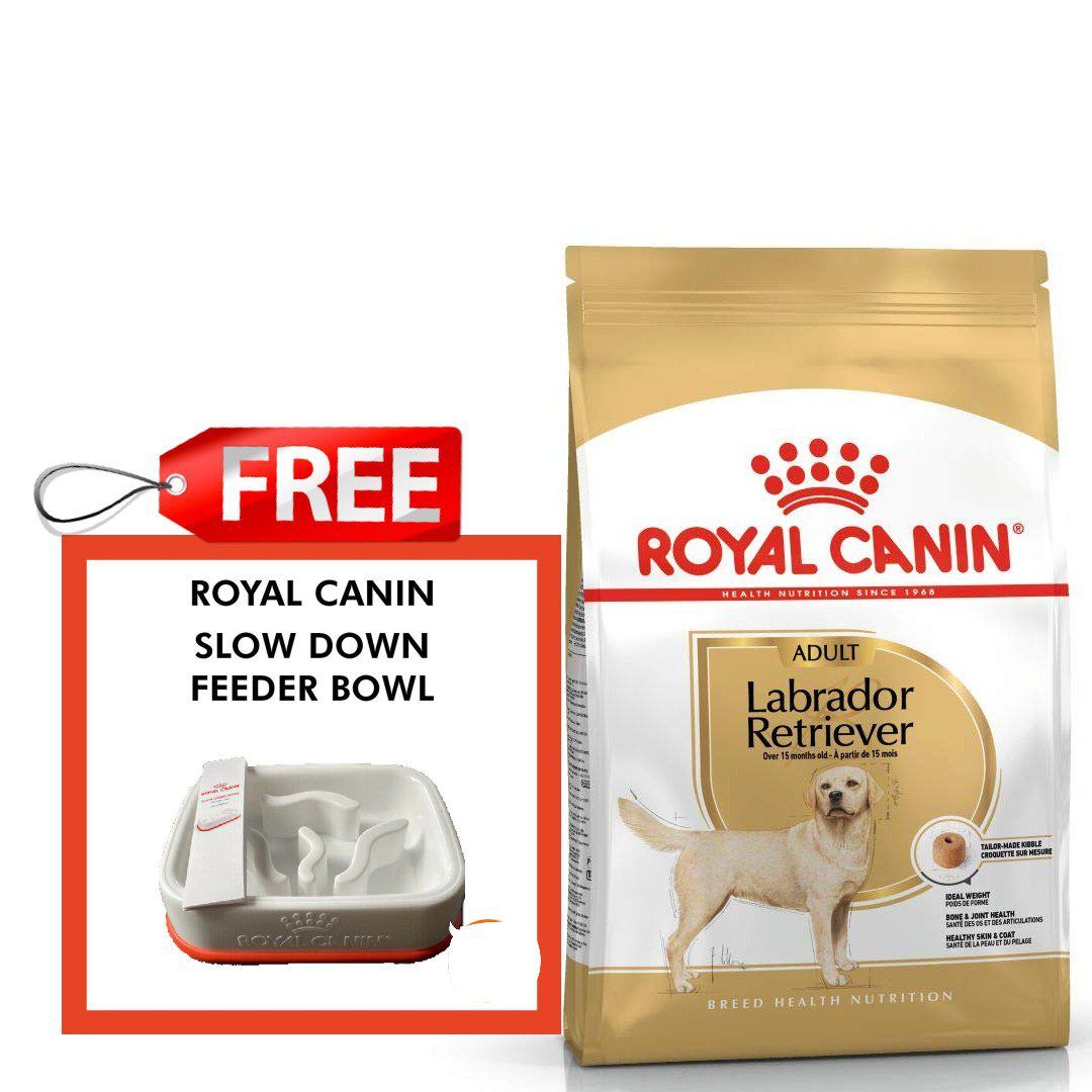 Royal Canin Labrador Adult 12 kg FREE Slow Down Feeder Bowl