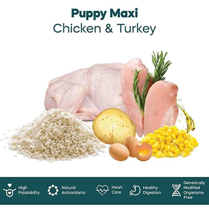Dibaq Natural Moments Puppy Maxi Chicken & Turkey - Image 5