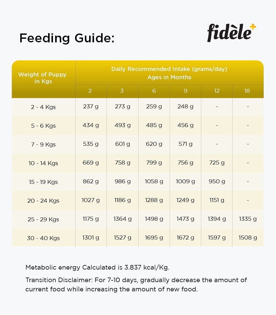 Fidele+ Dry Dog Food for Large Breed Puppies, Chicken Recipe with Natural Ingredients - Image 8