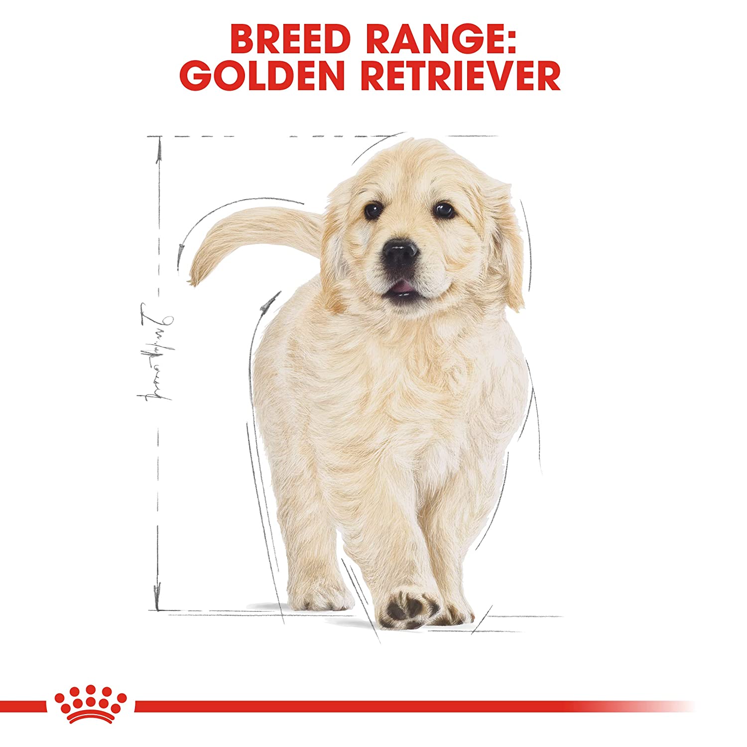 Royal Canin Golden Retriever Puppy 12Kg - Image 7