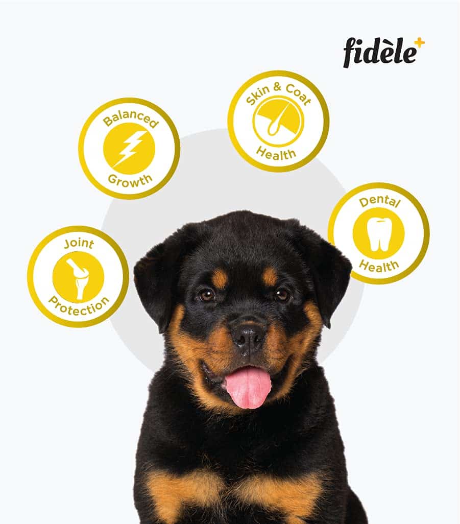 Fidele+ Dry Dog Food for Large Breed Puppies, Chicken Recipe with Natural Ingredients - Image 5