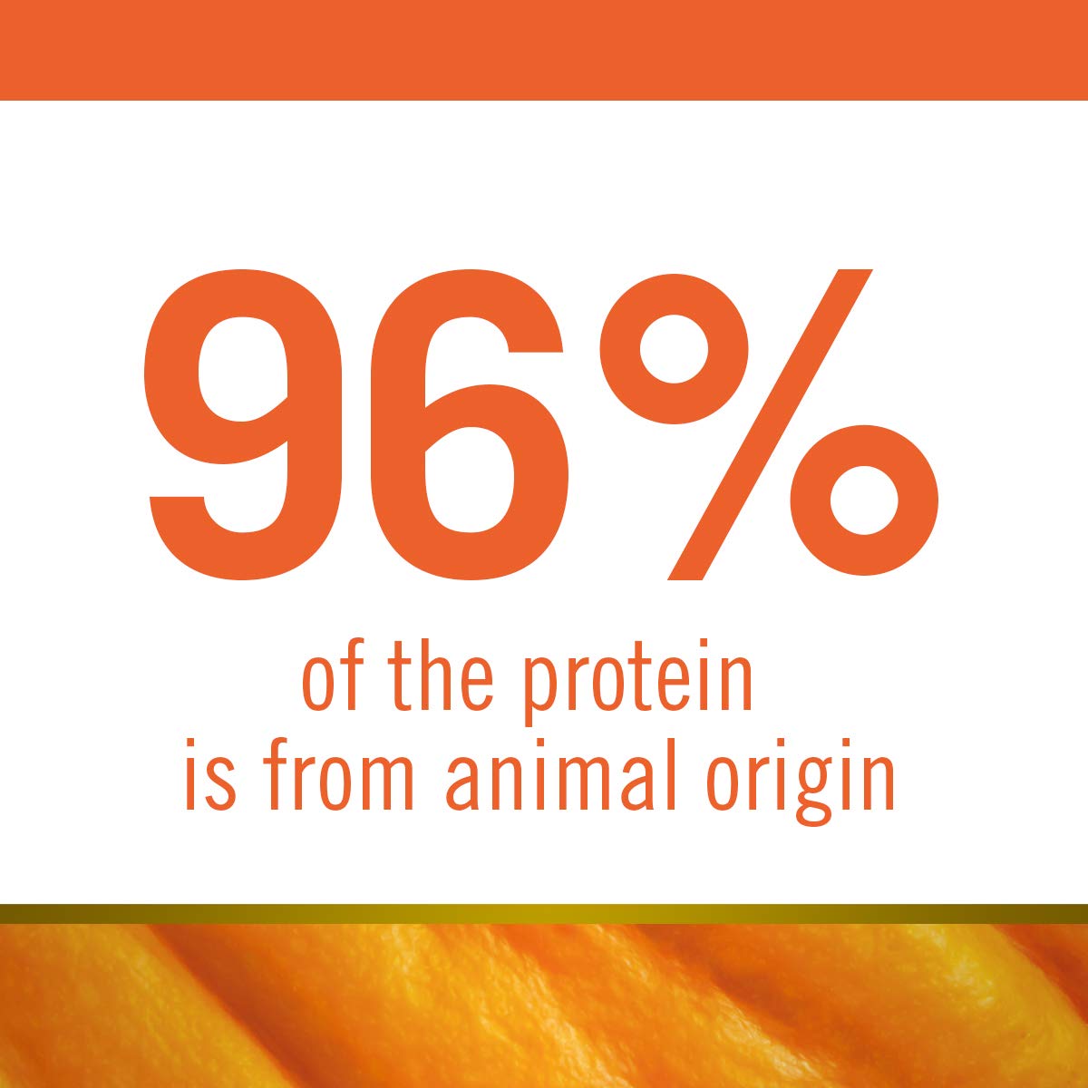 FARMINA N&D Pumpkin Dry Dog Premium Pet Food, Grain-Free, Lamb and Blueberry, Adult Medium & Maxi Breed - Image 6