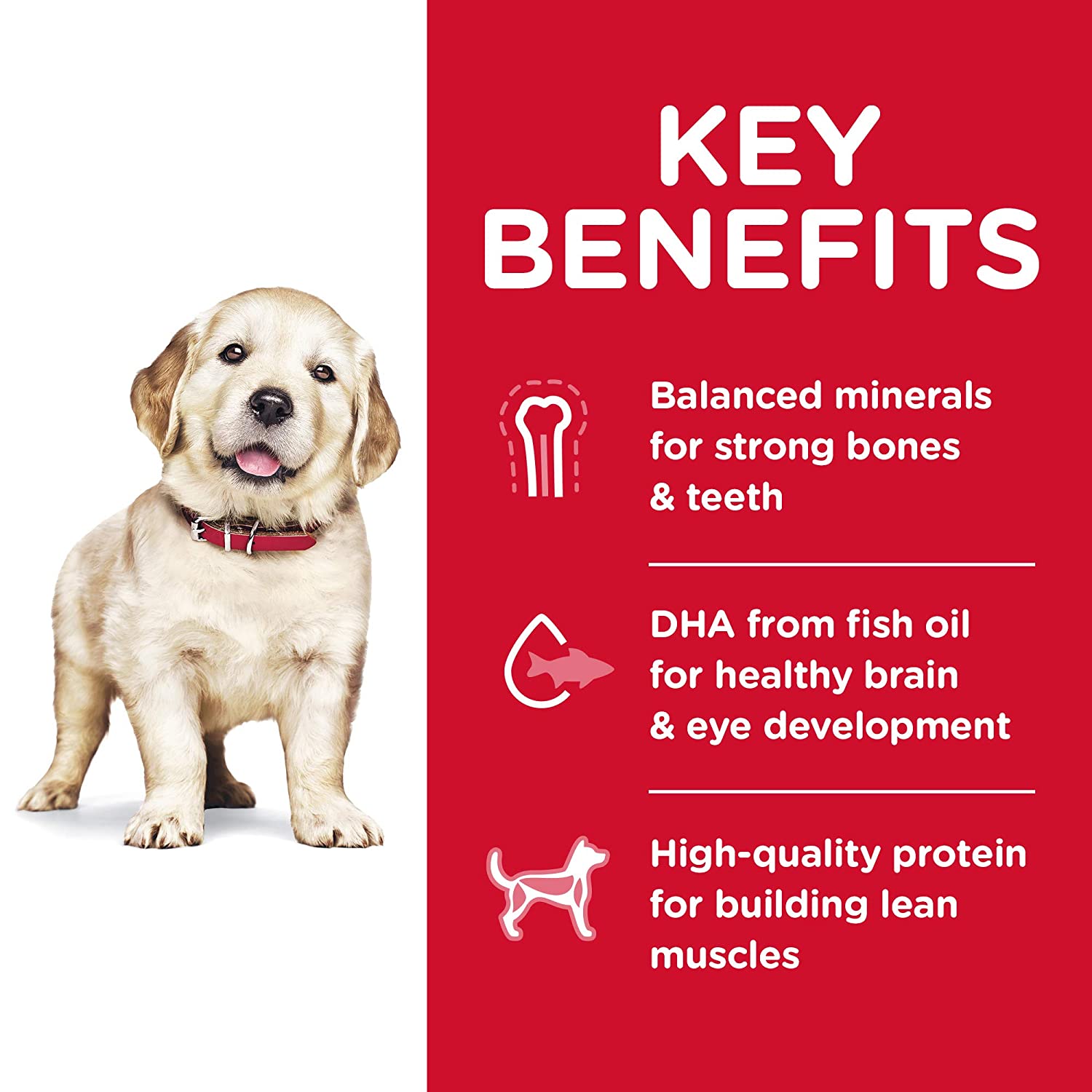 Hill's Science Diet Puppy Large Breed Lamb Meal & Rice Recipe dry Puppy Food - Image 11