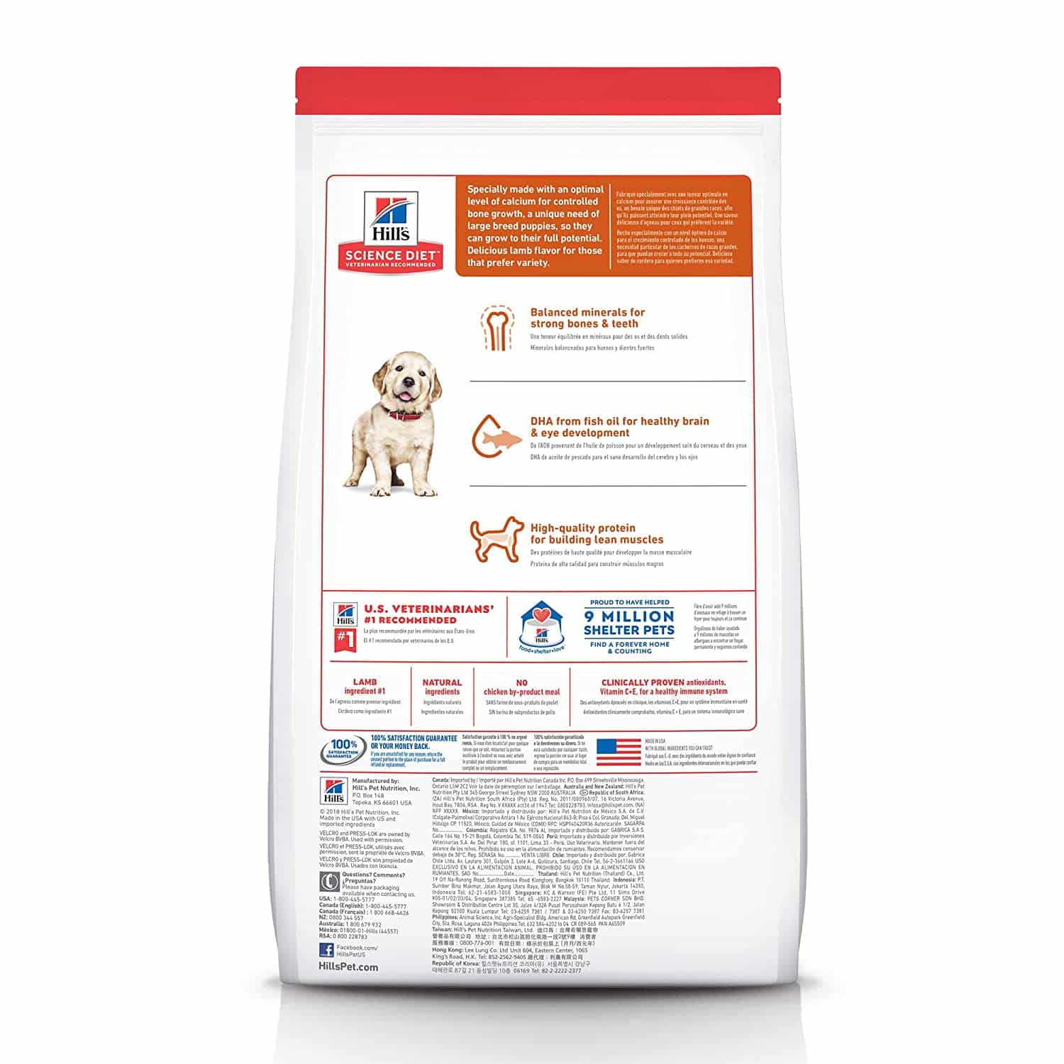 Hill's Science Diet Puppy Large Breed Lamb Meal & Rice Recipe dry Puppy Food - Image 8