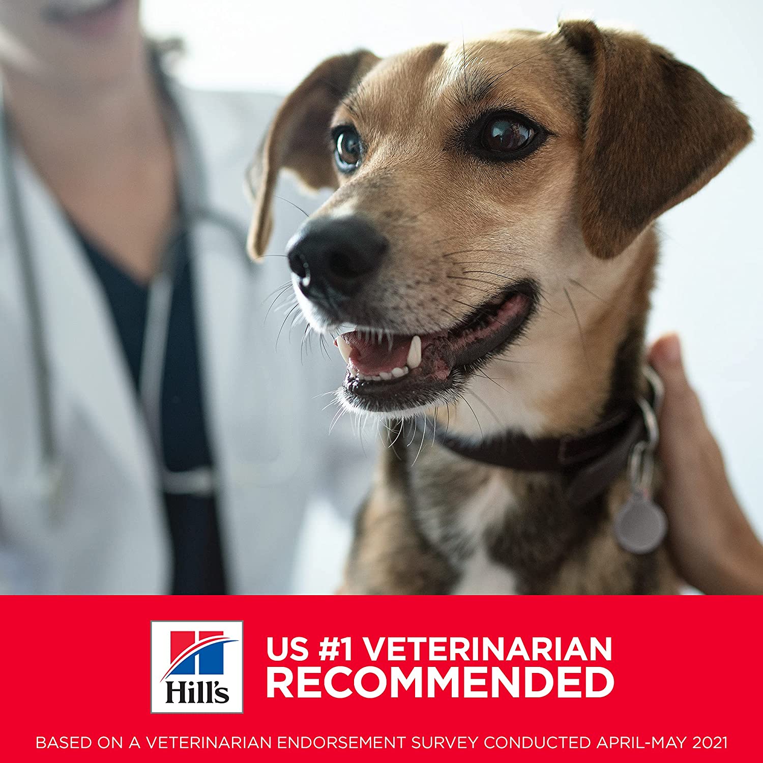 Hill's Science Diet Puppy Large Breed Lamb Meal & Rice Recipe dry Puppy Food - Image 9