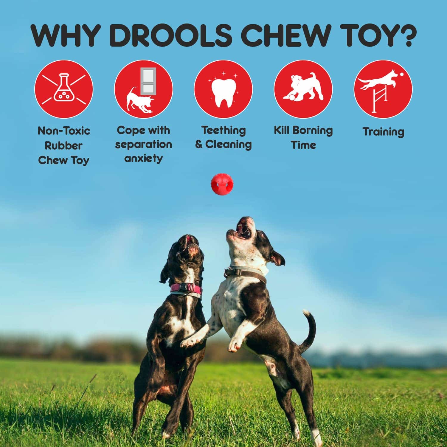 Drools Non-Toxic Rubber Hole Ball Chew Toy, Puppy/Dog Teething Toy - 3 inches - Image 6