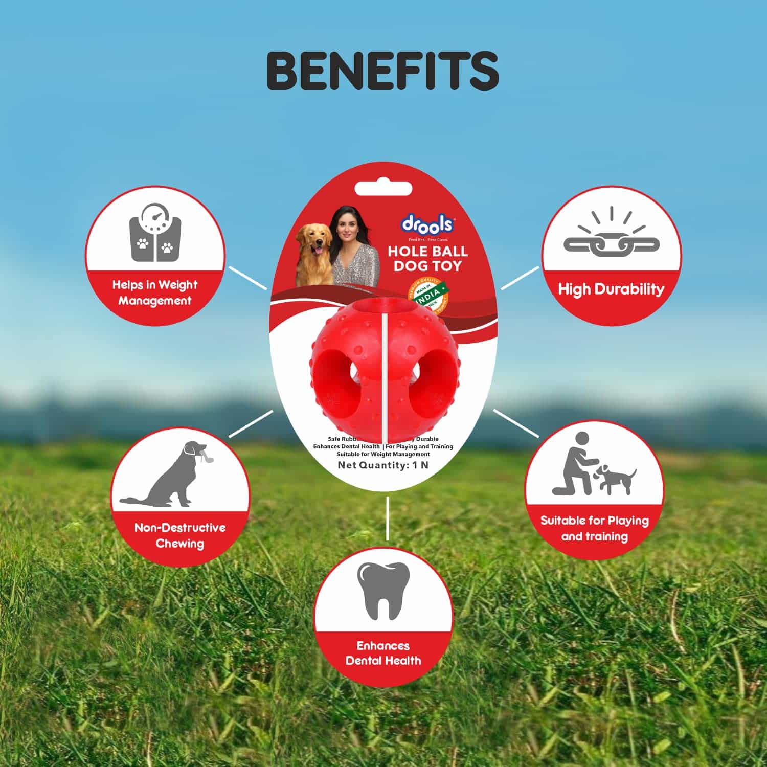 Drools Non-Toxic Rubber Hole Ball Chew Toy, Puppy/Dog Teething Toy - 3 inches - Image 5