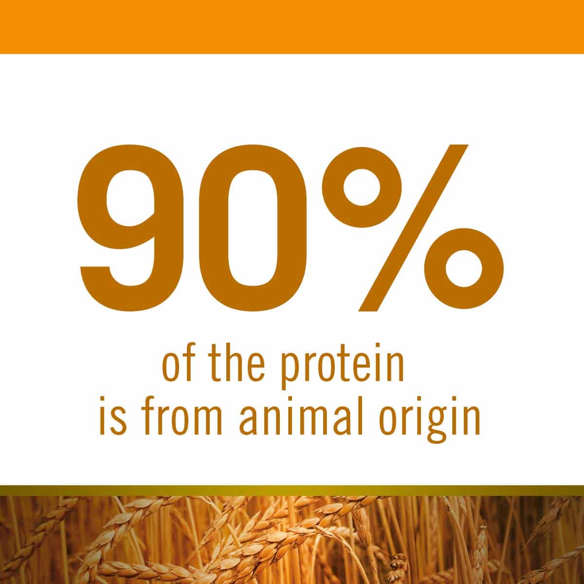 Farmina N&D Ancestral Grain Chicken & Pomegranate Medium & Maxi Breed Puppy Food - Image 4