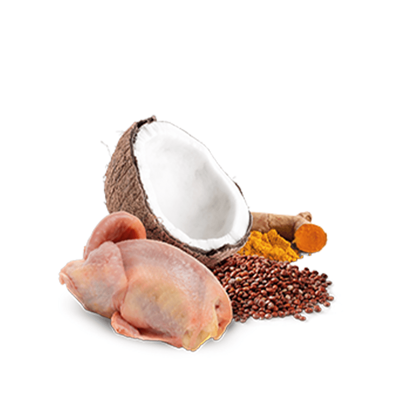 Farmina N&D Quinoa Skin and Coat QUAIL – Adult Dog Food - Image 2