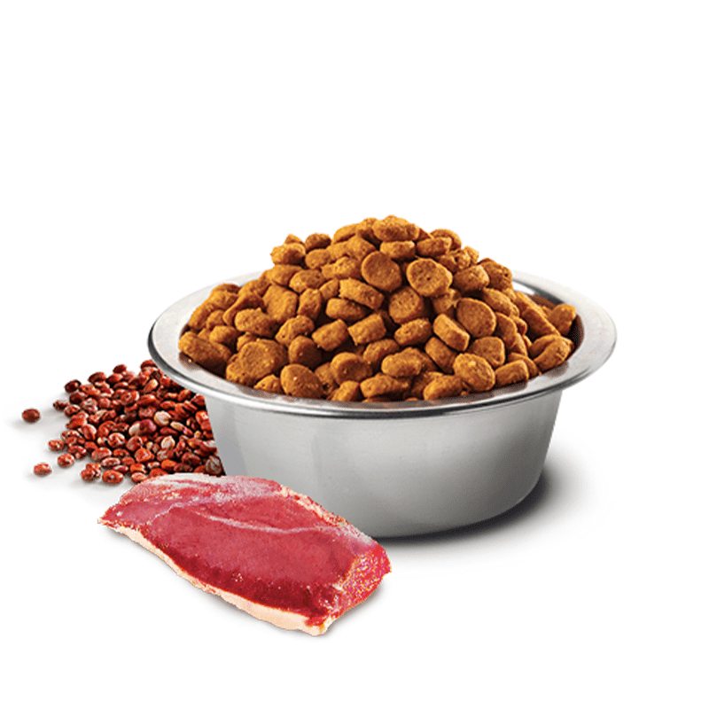 Farmina N&D Quinoa Skin and Coat Duck - Adult Dog Food - Image 2