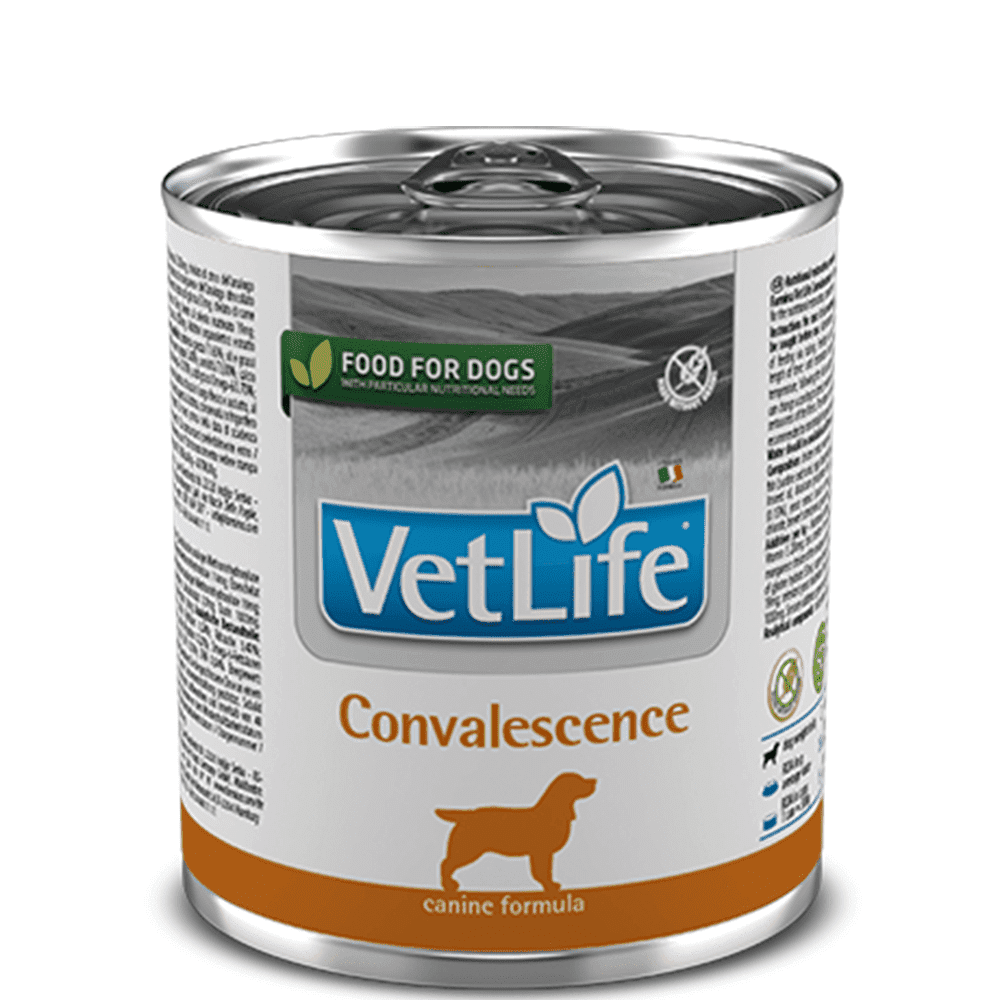 Farmina Vet Life Convalescence Wet Dog Food 300 gms x 6
