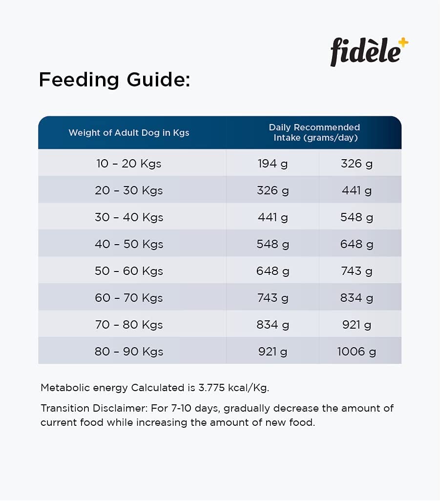 Fidele Adult Large Breed Dry Dog Food Chicken with Natural Ingredients | No Soy | No Wheat | - Image 3