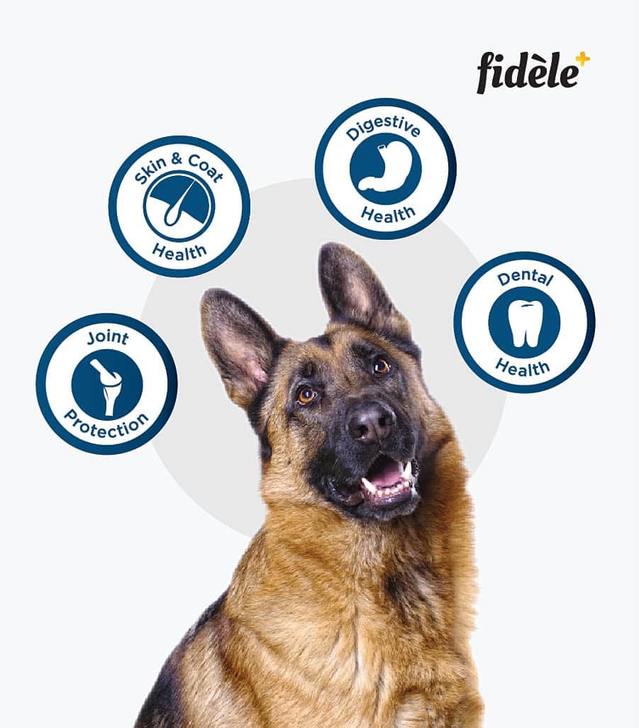 Fidele Adult Large Breed Dry Dog Food Chicken with Natural Ingredients | No Soy | No Wheat | - Image 9