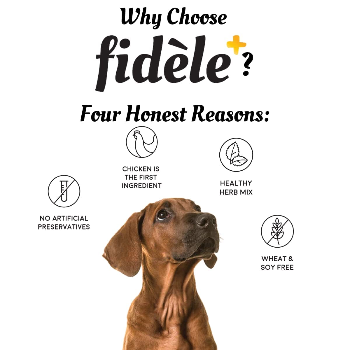 Fidele Adult Large Breed Dry Dog Food Chicken with Natural Ingredients | No Soy | No Wheat | - Image 10